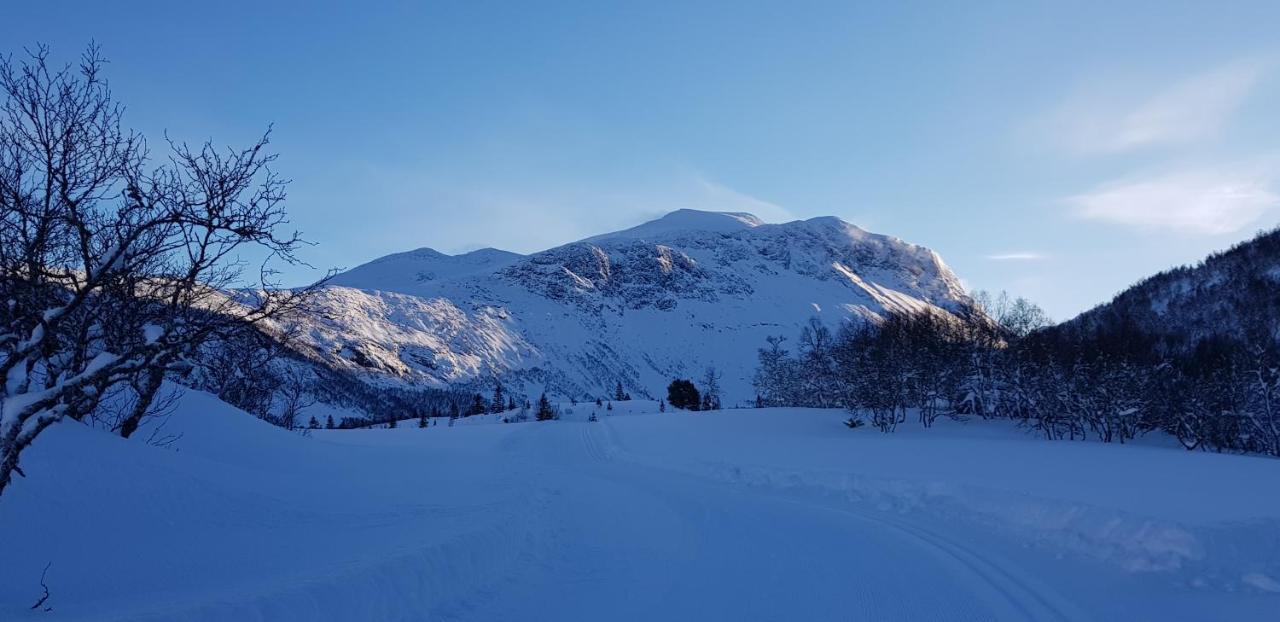 Dalhus - House In The Valley Norddal Экстерьер фото